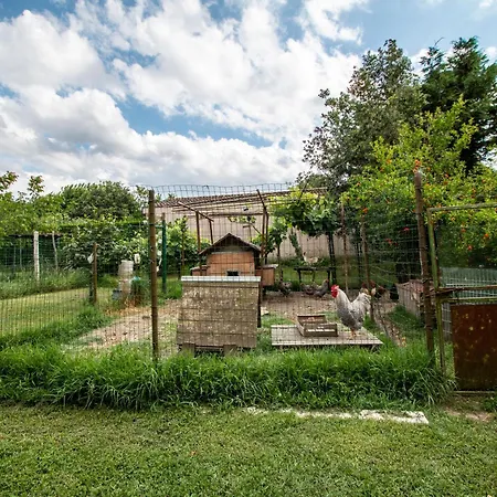 Monte Scala * Taglio Di Po